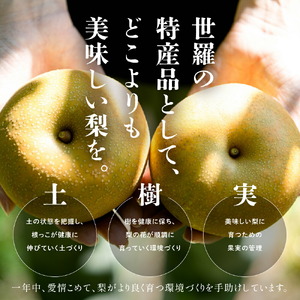 幸水梨 ご自宅用 約5kg【先行予約・数量限定】世羅 幸水農園 幸水 梨 せら なし フルーツ 果物 くだもの 甘い 果汁 ジューシー デザート 産地直送 JGAP認証 新鮮【2026年8月中旬以降順