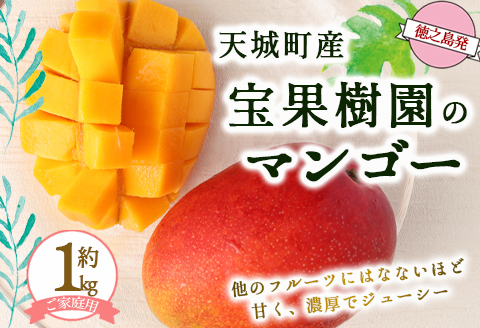 【2026年発送】【先行受付】徳之島 天城町産 宝果樹園 完熟マンゴー ご家庭用 マンゴー 1kg AT-21-N