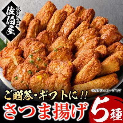 ふるさと納税 日置市 本場鹿児島県産!保存料・防腐剤無添加! さつま揚げ 詰合せ(5種・約1.1kg)　No.588