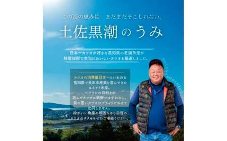 高知県産カツオのわら焼きタタキ 自家製タレ付 訳あり 1kg 3ヶ月定期便【かつおのたたき】