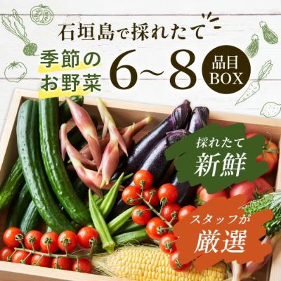 ふるさと納税 石垣市 沖縄県石垣島産新鮮やさいBOX 【 島の野菜 詰め合わせセット】1箱(定番・旬のお野菜6~8種類) |  | 01
