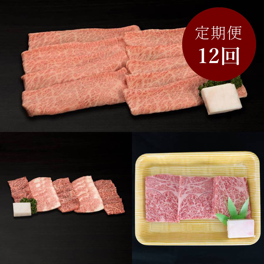 A5等級飛騨牛12ヵ月定期便