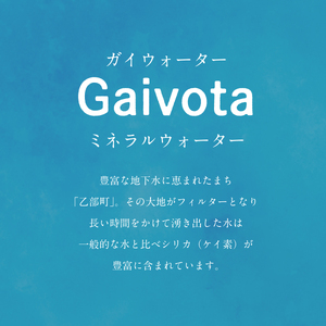 ＜Gaivota炭酸水　2箱（300ml×12本/箱）＞北のハイグレード食品　北海道乙部町の天然シリカ炭酸ミネラルウォーター