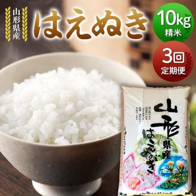 ふるさと納税 戸沢村 【定期便3回】山形県産 はえぬき 10kg(5kg×2)×3回 合計30kgF7W-0259