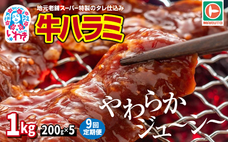 【定期便/計9回】味付き牛ハラミ　1kg(200g×5)　計9kg | 特製タレ 焼くだけ 手作業で加工 焼肉 お取り寄せ バーベキュー ふるさと納税はらみ ふるさと納税ハラミ 柔らかい やわらかい 父の日 | EQ040-1000g-t9