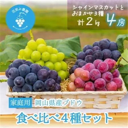 岡山　花笑み農園の『食べ比べ4種』シャイン入り　家庭用　2kg(4房)4M-2【配送不可地域：離島・北海道・沖縄県】【1626793】