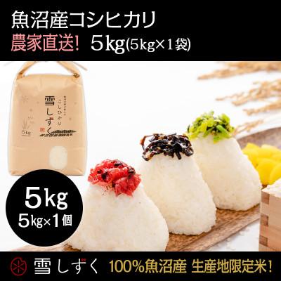 ふるさと納税 十日町市 令和7年産!魚沼産コシヒカリ 雪しずく【農家直送!】 精米5kg×1袋