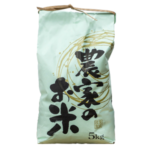 新米 米 令和7年産 もち米 ヒメノモチ 5kg 大石田町産 fa-mkhia5
