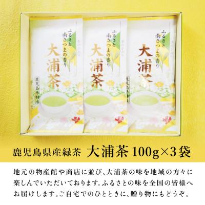 ふるさと納税 南さつま市 【贈答用】 鹿児島県産緑茶 大浦茶 一番茶3本セット 計300g(100g×3) |  | 02