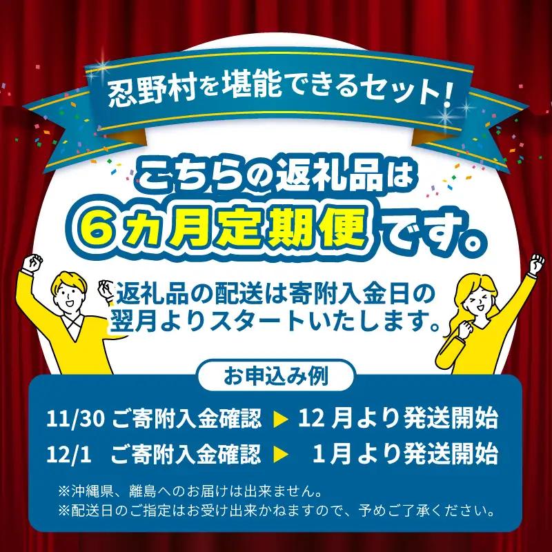 ＼＼忍野プレミアムセレクト／／＜満喫よくばり6ヶ月定期便＞【全6回】 定期便