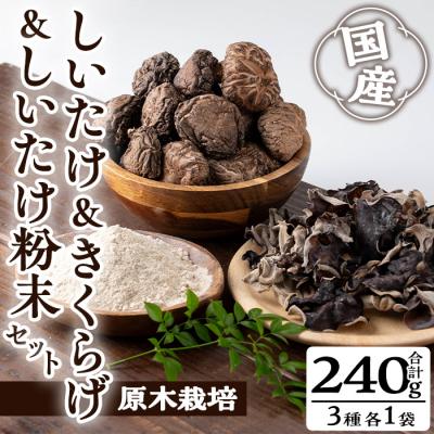 ふるさと納税 曽於市  しいたけ+しいたけ粉末+きくらげセット(計240g・3種)