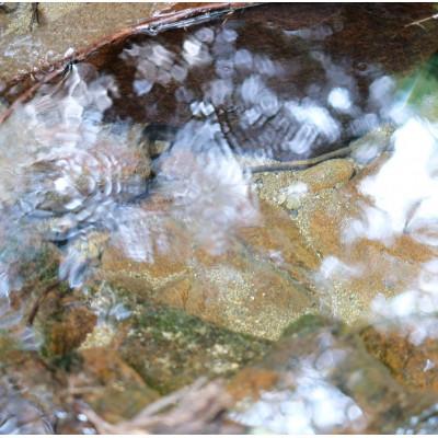 ふるさと納税 曽爾村 【2025年(特別栽培米)】曽爾村ブランド米(コシヒカリ) 5kg(白米) |  | 01