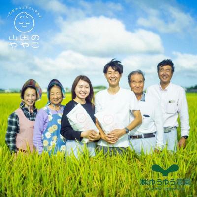 ふるさと納税 龍ケ崎市 令和6年『山田のややこ』特別栽培米コシヒカリ 精米 10kg【茨城県共通返礼品・河内町産】 |  | 02