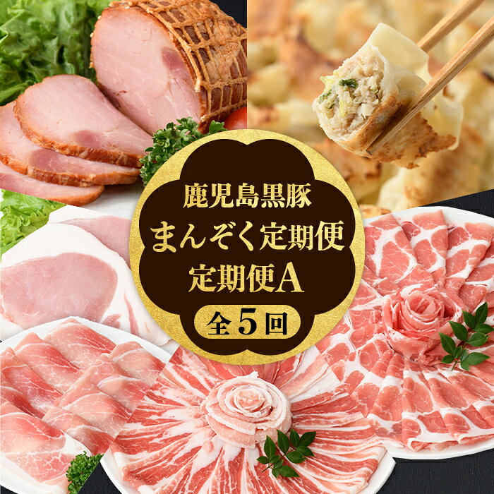 【ふるさと納税】＜定期便・全5回＞かごしま黒豚まんぞく定期便A (月1回×5ヶ月) 鹿児島 九州産 国産 肉 豚肉 黒豚 焼豚 肩ロース ロース モモ スライス 叉焼 餃子 ギョーザ ぎょうざ しゃぶしゃぶ とんかつ 加工品 セット 【和田養豚】