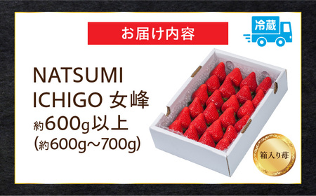 NATSUMI ICHIGO 女峰 約600g以上（2026年1月～6月配送）| いちご フルーツ 果物 果実 デザート スイーツ おすすめ 人気 贈答 贈り物 化粧箱 旬 旬の果物 旬のいちご ご褒