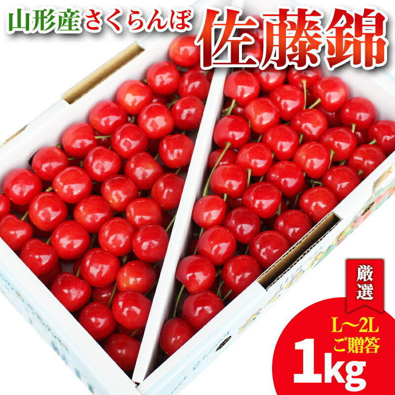 【ふるさと納税】【厳選 ご贈答 バラ詰め】本場 山形産 さくらんぼ 佐藤錦 1kg(L〜2Lサイズ) 【令和8年産先行予約】 FS25-585 くだもの 果物 フルーツ 山形 山形県 山形市 お取り寄せ 2026年産