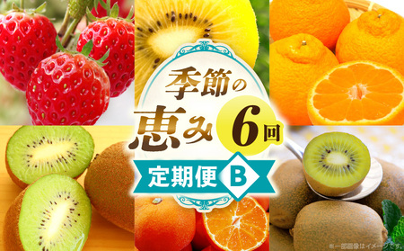 季節の恵み6回定期便B_mk165-t050
