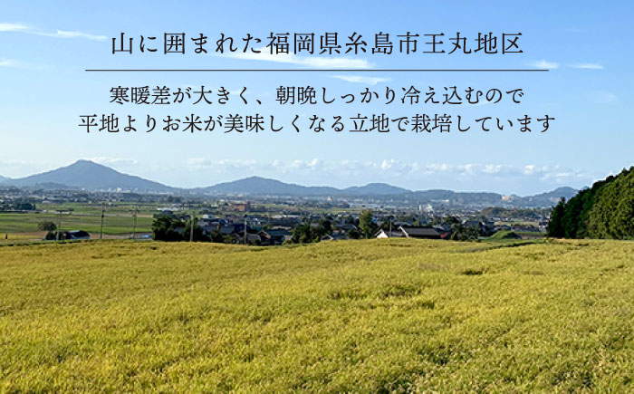 【令和8年産新米】【全6回定期便】糸島産 ヒノヒカリ 10kg×6回 糸島市 / 糸島王丸農園 ( 谷口汰一 )【いとしまごころ】 [AAZ016]