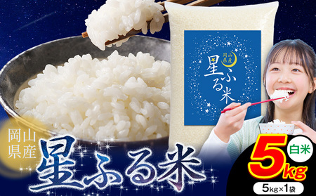 白米 星ふる米 5kg h