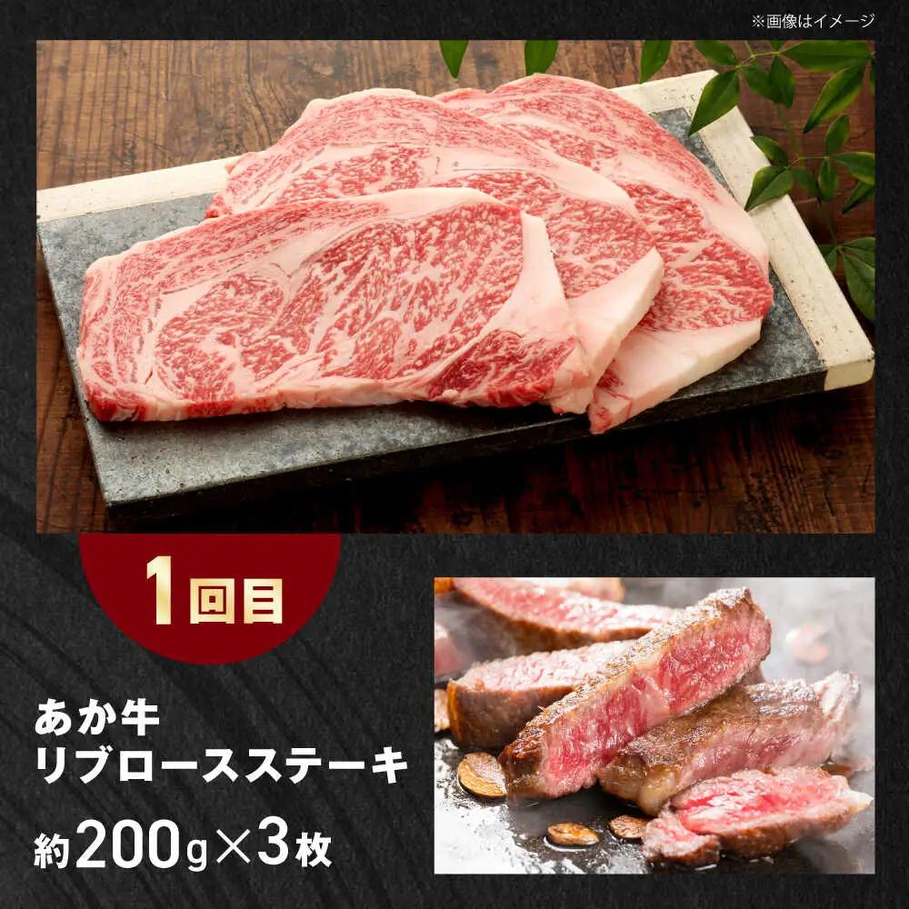 【全3回定期便】【GI認証】くまもとあか牛 食べ比べ F リブロース トモサンカク 赤身モモブロック赤牛[AYCQ031]