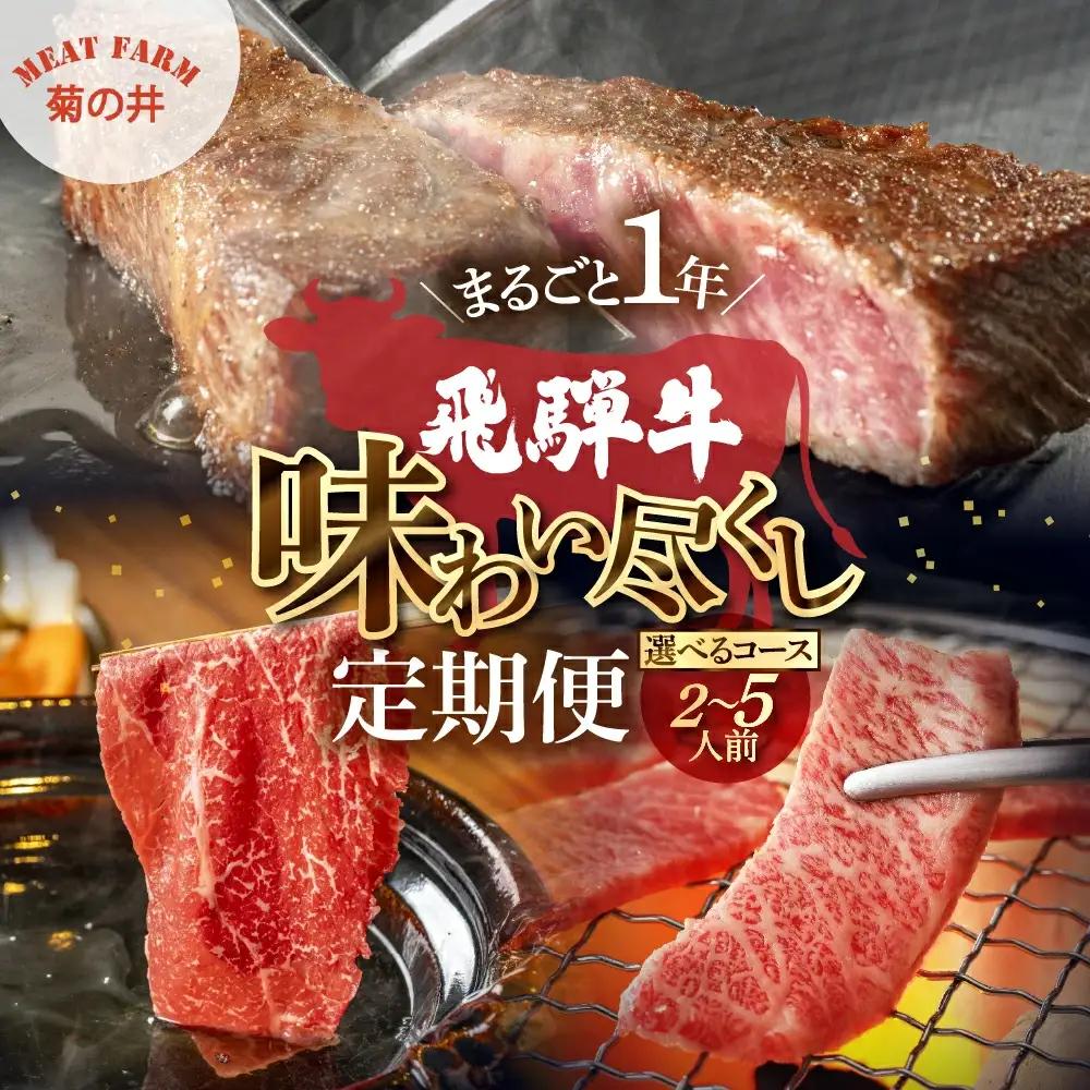 【定期便 12回】飛騨牛まるごと1年味わい尽くし定期便（2～3人前）【70-C】