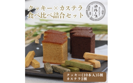 和泉市　クッキー(5種　10本入り)&カステラ(2種)食べ比べセット【1640113】