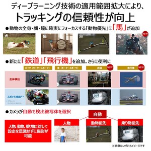 【追加レンズセット】 キヤノン ミラーレス カメラ EOS R6 MarkⅡ レンズキット & 望遠レンズ キャノン _0055C
