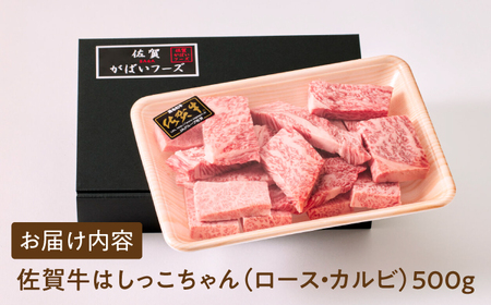 【いろいろな部位を楽しめて、食べごたえ抜群！】佐賀牛 はしっこちゃん＜ロース カルビ＞ 500g 【がばいフーズ】佐賀牛 A5  A4 焼肉 カレー[HCS023]