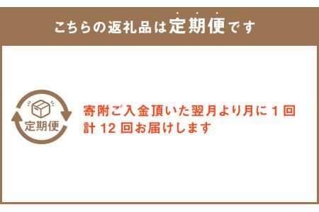 【12回定期便】”松竹梅の梅セット”届いたら、いつもの花瓶に入れるだけ！簡単管理の おしゃれ ブーケ ♪初回 花瓶 付き、毎回延命剤付き！！ 花 生花 花束