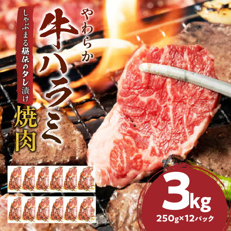 【ふるさと納税】1132-5　やわらか牛ハラミ焼肉 秘伝のタレ漬け3kg(250g×12P) 牛肉 焼肉 タレ 漬け 秘伝 柔らかい 味付き やきにく ハラミ 希少 小分け 厚切り 冷凍 BBQ バーベキュー 香川県 三木町 国産 おすすめ 送料無料