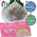 【ふるさと納税】 ペットフード ペット用品 犬用 70g×5袋 無添加 国産 鶏肉 胸肉 燻製 焼津 ドッグフード 手作り 高たんぱく 低脂質 真空パック 愛犬と晩酌 セット しらす a10-1073