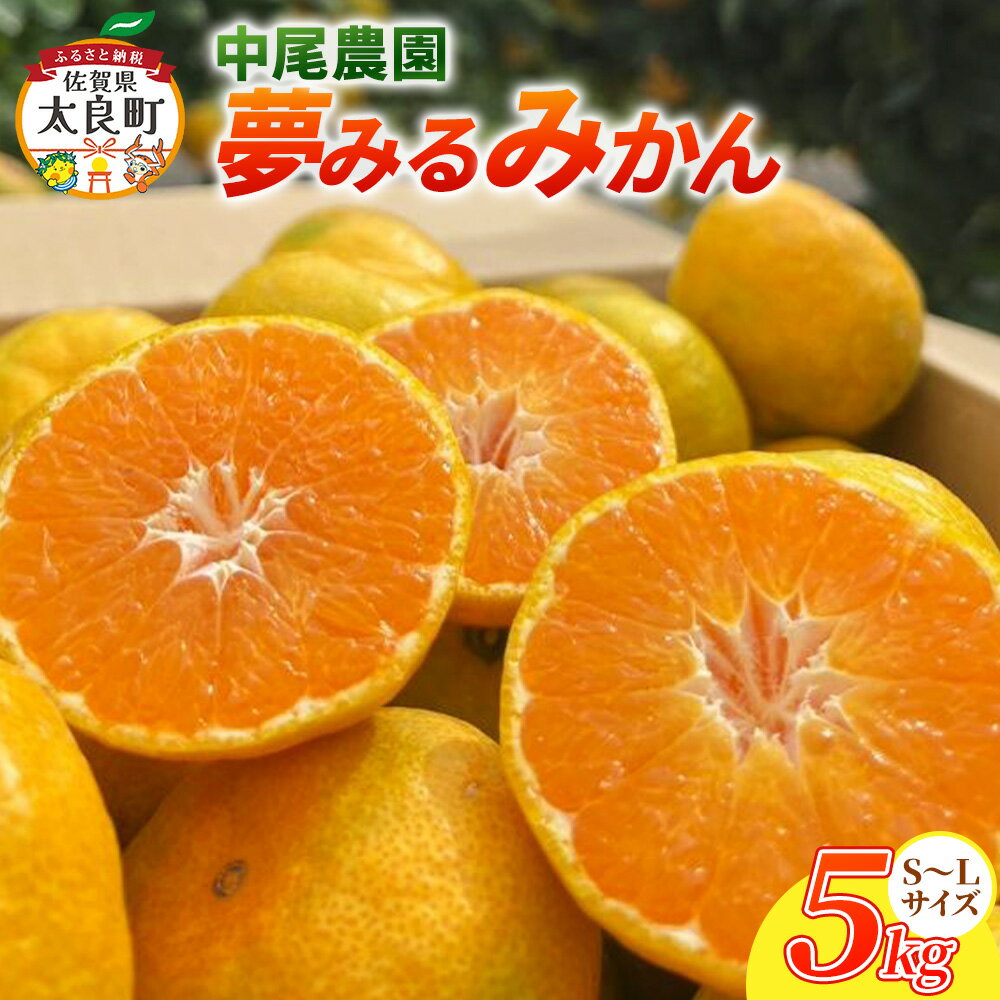 【ふるさと納税】【先行予約】中尾農園の夢みるみかん（S-L）5kg　果物　くだもの　ビタミン 佐賀県 太良町 NA10