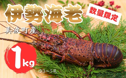 【春期50セット限定】水産庁長官賞受賞！日和佐町漁協直送「天然活伊勢えび」たっぷり1kg（3～5尾）【４月中に獲れ次第発送分】伊勢海老 伊勢えび イセエビ 海老 天然 活 訳あり 1kg 徳島県 美波町 日和佐 産地直送 魚介類 海鮮 数量限定 期間限定 先行予約 お歳暮 お正月 お祝い