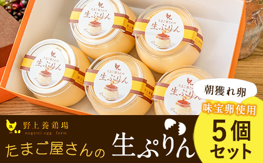 たまご屋さんの生ぷりん5個セット (150ml×5個) 野上養鶏場《60日以内に出荷予定(土日祝除く)》味宝卵使用 プリン