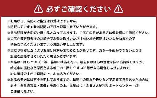岡山白桃 エース 8～16玉 約4kg 岡山県産