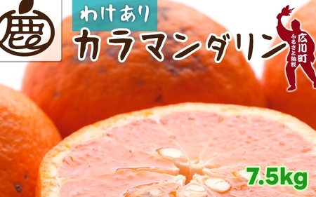カラマンダリン 7.5kg+250g （痛み補償分） 家庭用 / カラ カラオレンジ カラみかん 南津海 なつみ 訳あり 和歌山 有田 柑橘 晩柑 ※4月上旬〜5月順次発送 ※北海道・沖縄・離島への配送不可 【ikd015-c-7d5B】