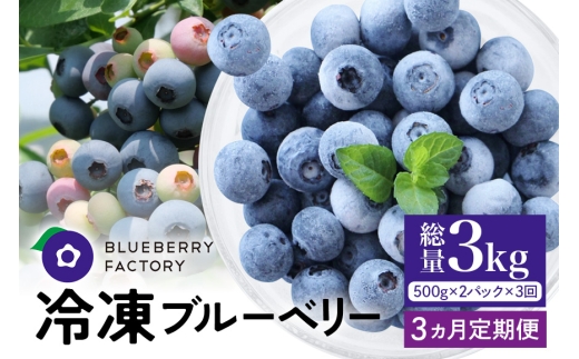 【3か月定期便】岐阜県産 冷凍ブルーベリー＜真空パック保存＞1kgパック 完熟 果物 手摘み 定期便 ブルーベリー 果実 冷凍 ベリー フルーツ くだもの 日時指定可 岐阜県 川辺町 ブルーベリーファクトリー  A16-019