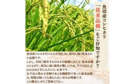 【令和7年】 昔ながらの魚沼産コシヒカリ 精米8kg(2キロ×4) 従来品種 農園ビギン | おこめ 特A評価 小千谷市 コシヒカリ