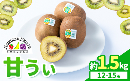 キウイ 甘うぃ 約1.5kg 南国フルーツ株式会社【26年度出荷】《10月下旬-11月末頃出荷》福岡県 小竹町 あまおう 福岡県産 キウイ フルーツ キウイフルーツ 果物