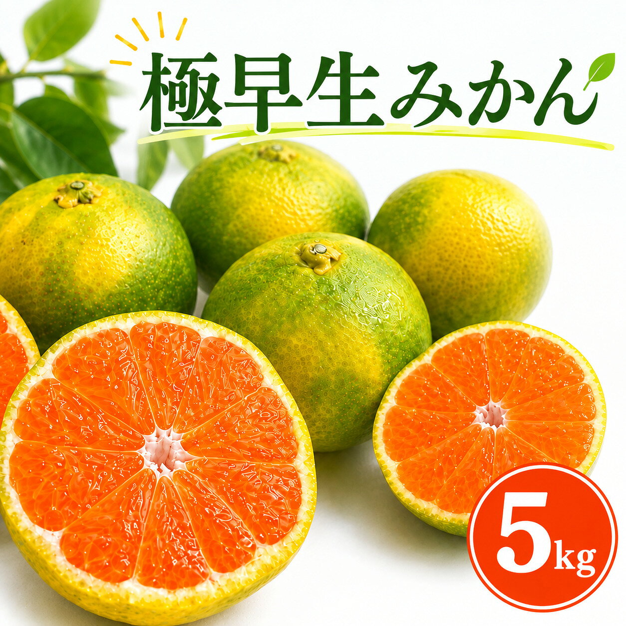 【ふるさと納税】 【 先行予約 9月配送 】極早生みかん 5kg | 温州みかん みかん 蜜柑 ミカン 柑橘 緑のみかん 酸っぱい 酸味 家庭用 秋の味覚 旬 ごくわせ フルーツ 果物 くだもの 産地直送 数量限定 期間限定 国産 高知県 室戸市 rk049