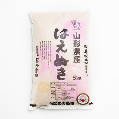 ふるさと納税 新庄市 【毎月定期便】米食味鑑定士厳選新庄産米はえぬき(精米)5kg全6回