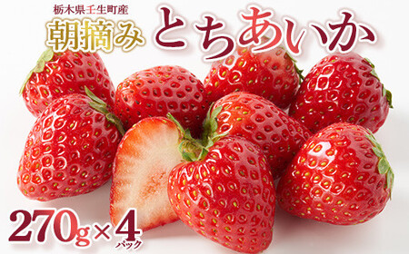 【先行受付】とちあいか 約270g×4パック ｜ いちご ※2027年1月～発送