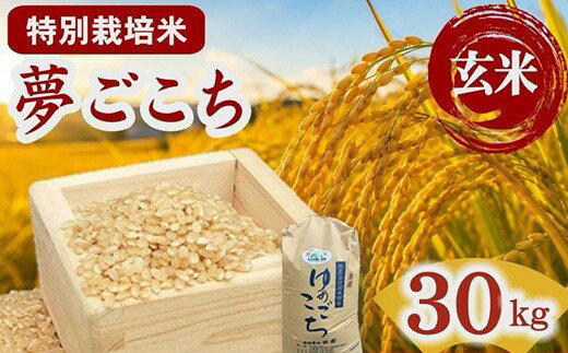 【ふるさと納税】新米 夢ごこち＜特別栽培米＞玄米 30kg ＜令和8年産＞ 有機肥料 ご飯 ライス 簡易包装 エコ包装 米袋 三重県 国産 【田園】