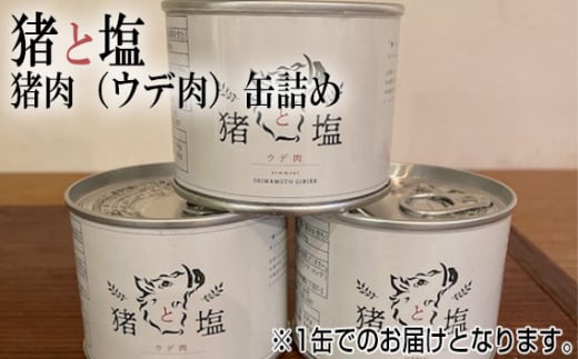 No.130 猪と塩　猪肉（ウデ肉）缶詰め ／ 島本ジビエ イノシシ おにく 大阪府