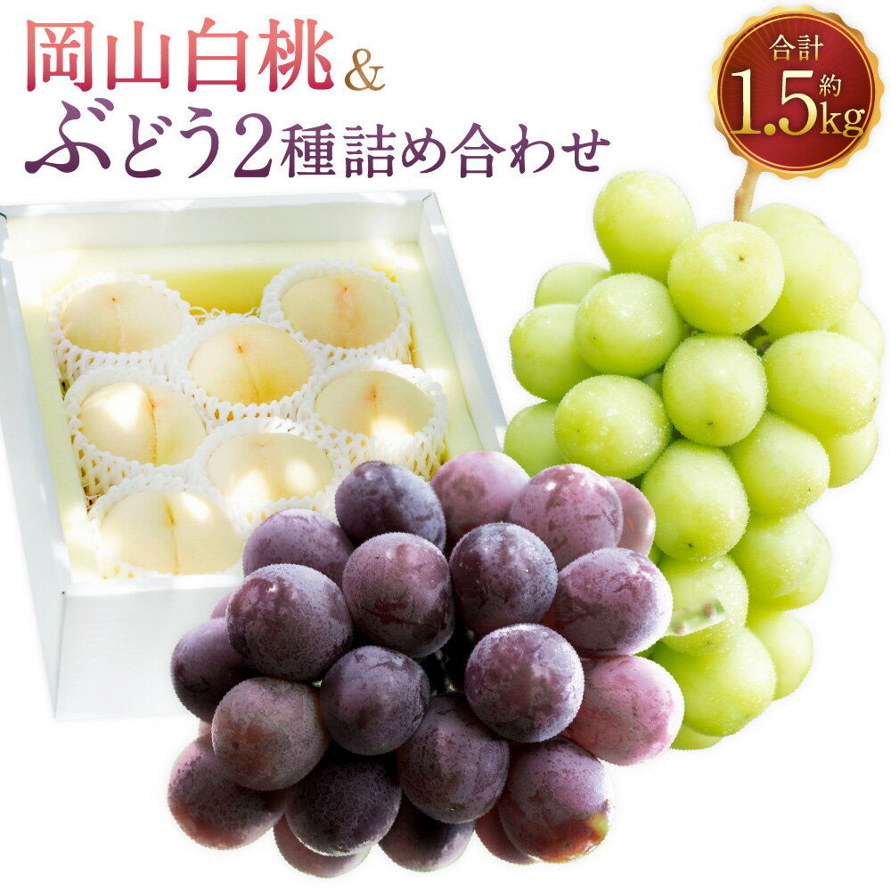 【ふるさと納税】岡山白桃（2～3玉）&シャインマスカット&黒系ぶどう（1.5kg以上）の詰め合わせ セット マスカット ぶどう ブドウ 葡萄 桃 もも モモ くだもの 果物 果実 フルーツ 冷蔵 岡山県産 国産 岡山県 美咲町 送料無料 【2026年8月上旬から8月下旬頃発送予定】