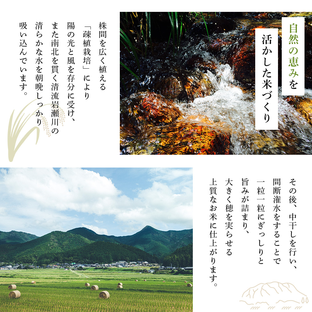 ＜令和8年産 新米 コシヒカリ 岩瀬川清流米 3kg＞ 3キロ こしひかり お米 コメ こめ 白米 精米 ご飯 穀物 鮮度 特産品 愛媛県産 西予市産 宇和町産 OTSUKAFARM 愛媛県 西予市