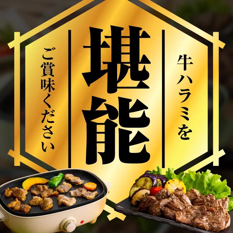 【満足牛ハラミ】甘辛タレ漬け 合計3kg 