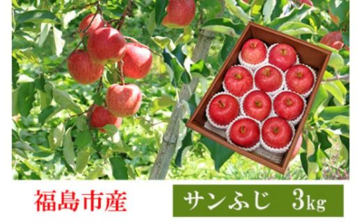 【ふるさと納税】No.2357 共同有限会社　りんご「サンふじ」約3kg【2025年度発送】