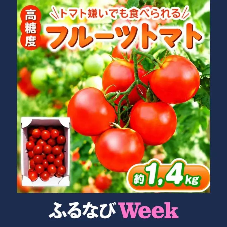 【ふるなびWEEK対象】フルーツトマト 約1.4㎏ | 鈴木農園 トマト とまと 中玉トマト 大容量 