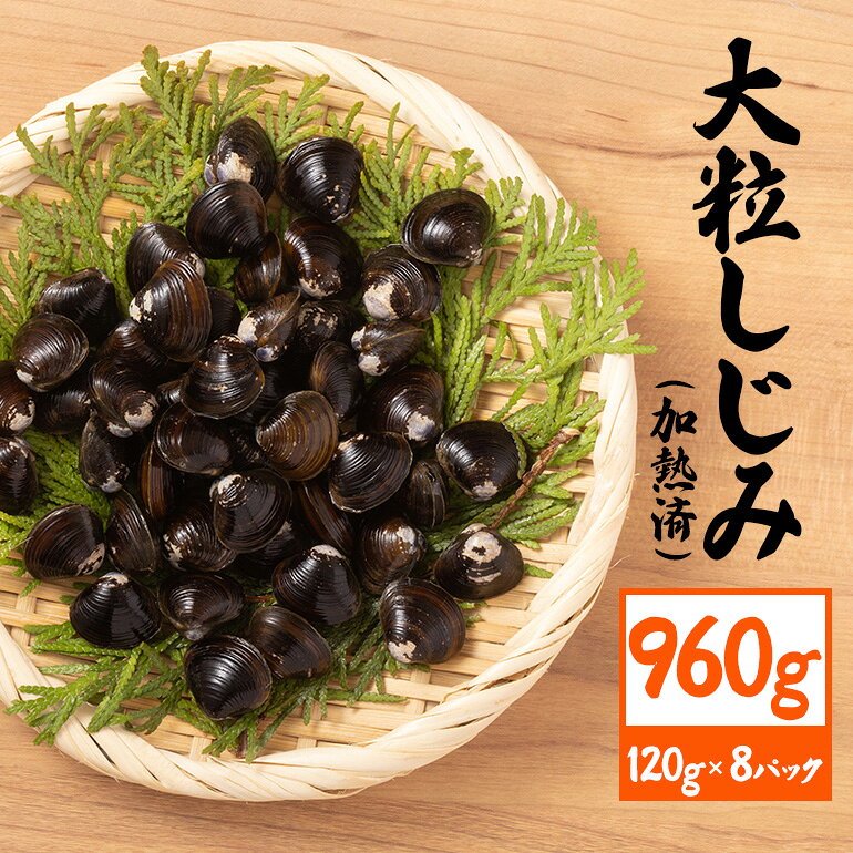 【ふるさと納税】 茨城県産 大粒しじみ 加熱済 120g×8パック 国産 しじみ シジミ 涸沼川産 砂抜き不要 調理簡単 味噌汁 すまし汁 つくだ煮 貝専門店の厳選品 贈答用 ギフト 常温 茨城県 潮来市 (023-0168)